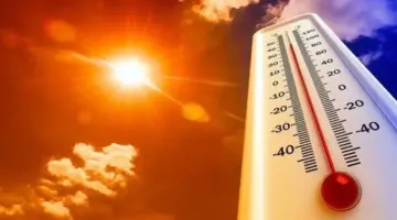 حار نهاراً طقس اليوم الأربعاء 20 مايو 2026 مع توقعات درجات الحرارة والأحوال الجوية – مشاهير
